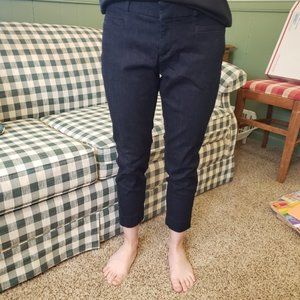 Banana Republic Classic Sloan Navy Women's Sz 0p